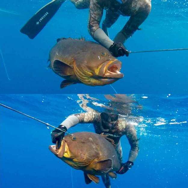 Oliver Guerra – Team Beuchat1