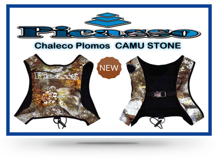 chaleco-promos-picasso-baners-2018